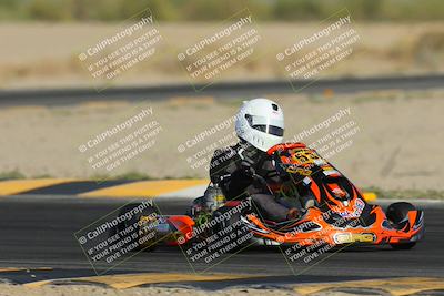 media/Mar-29-2025-Pro Autosports (Sat) [[89b1c017ad]]/6-Purple Group/Main Race/